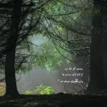 دانلود آهنگ تورو عاشقونه می‌برم “هوش مصنوعی”  از شادمهر عقیلی